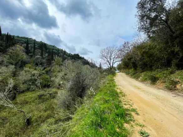 Land Of 91445 M² In Corfu