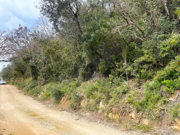 Land Of 91445 M² In Corfu