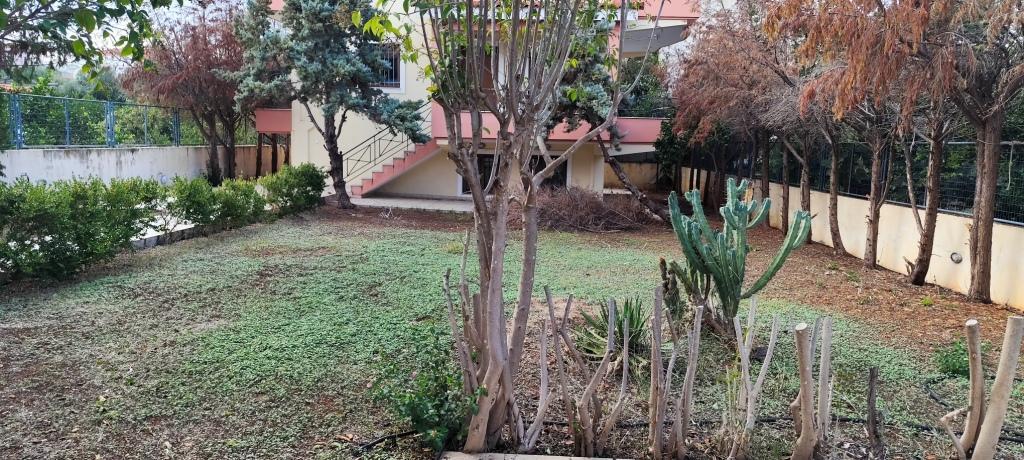 Detached House Of 180 M² In Peloponnese
