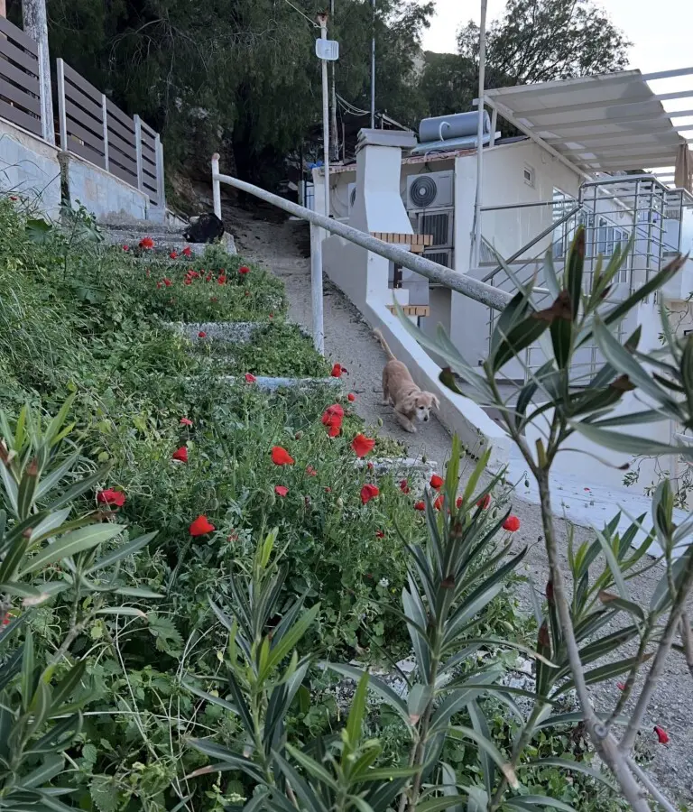 Detached House Of 33 M² In Crete
