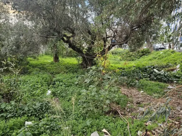 Land Of 299 M² In Crete