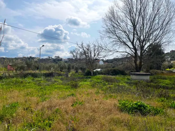 Land Of 7497 M² In Corfu