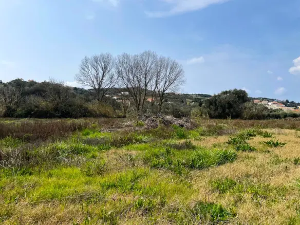 Land Of 7497 M² In Corfu