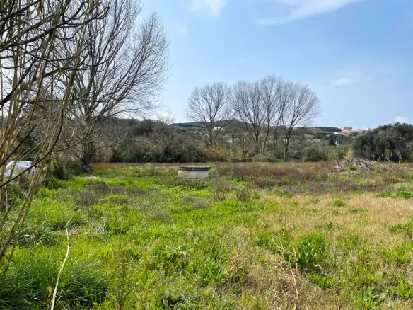 Land Of 7497 M² In Corfu
