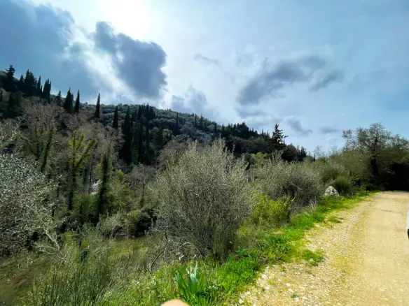 Land Of 91445 M² In Corfu