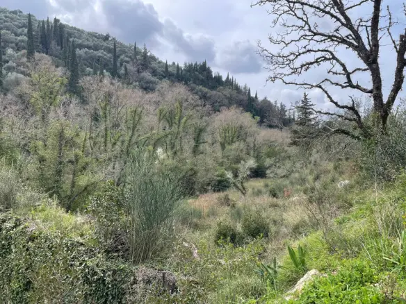 Land Of 91445 M² In Corfu