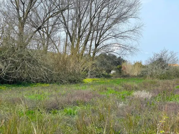 Land Of 7497 M² In Corfu