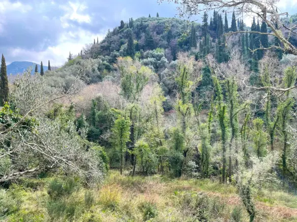 Land Of 91445 M² In Corfu