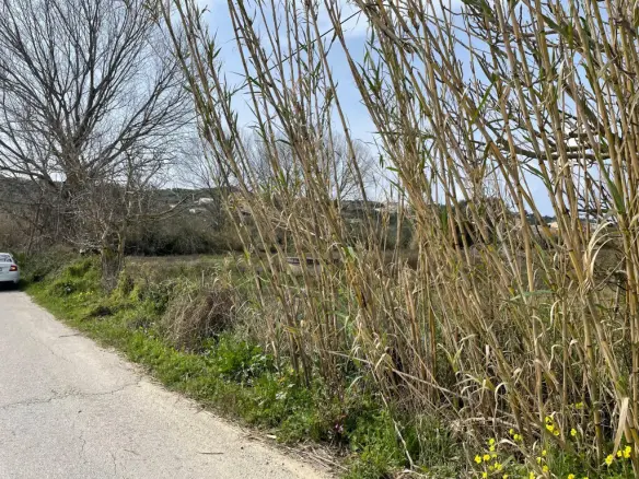 Land Of 7497 M² In Corfu