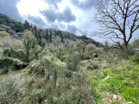 Land Of 91445 M² In Corfu