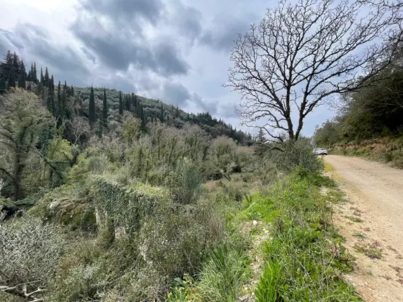 Land Of 91445 M² In Corfu