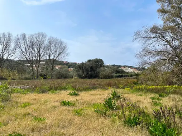 Land Of 7497 M² In Corfu