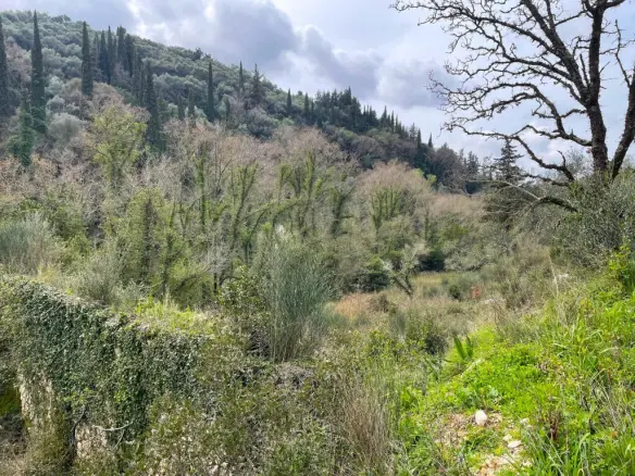 Land Of 91445 M² In Corfu