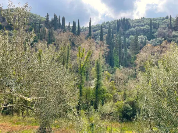 Land Of 91445 M² In Corfu