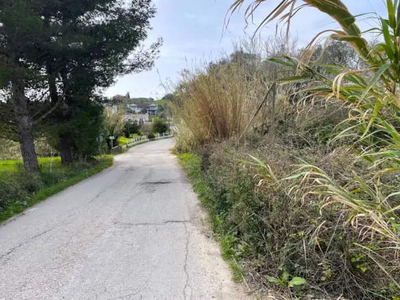 Land Of 7497 M² In Corfu