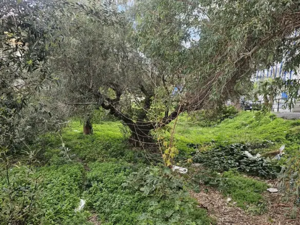 Land Of 299 M² In Crete