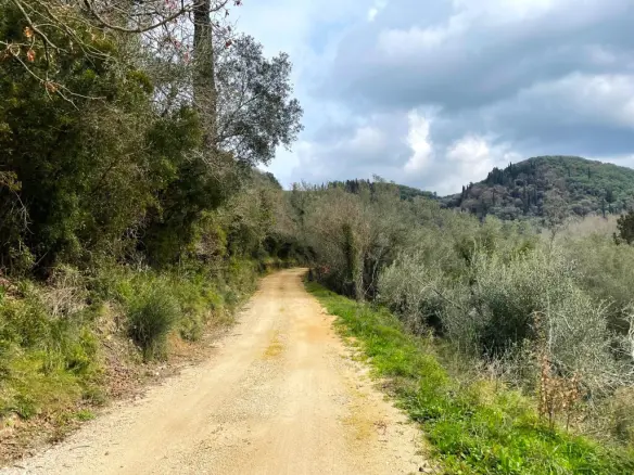 Land Of 91445 M² In Corfu