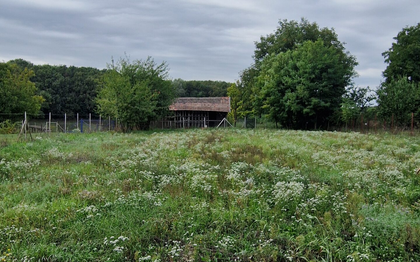 House Of 85 M² With Garden In Somogyaszaló