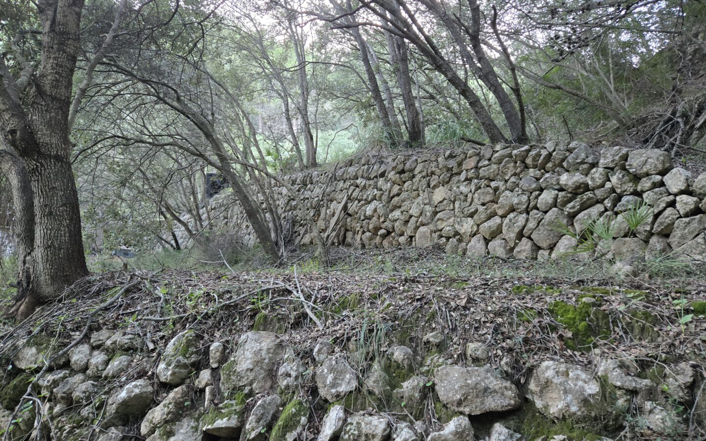 Rustic House Of 45 M² With 10,662 M² Plot In Andratx, Mallorca