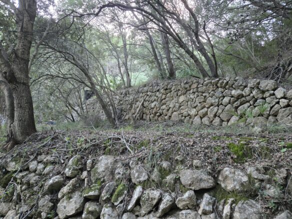 Rustic House Of 45 M² With 10,662 M² Plot In Andratx, Mallorca