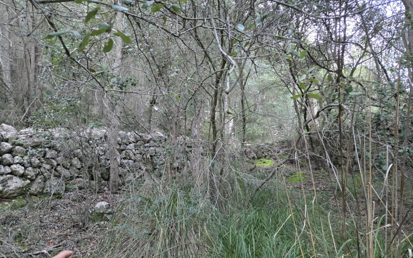 Rustic House Of 45 M² With 10,662 M² Plot In Andratx, Mallorca