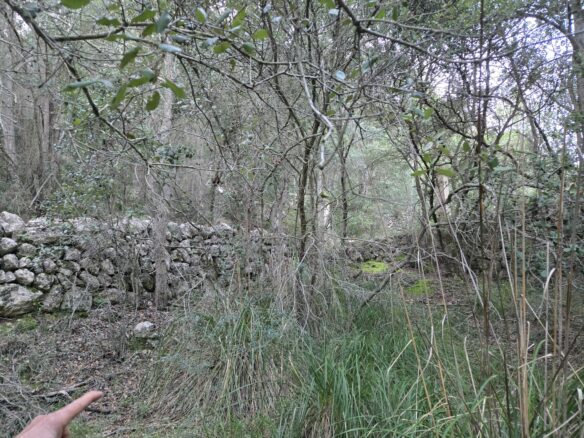 Rustic House Of 45 M² With 10,662 M² Plot In Andratx, Mallorca