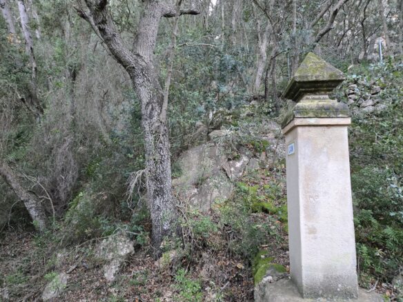 Rustic House Of 45 M² With 10,662 M² Plot In Andratx, Mallorca