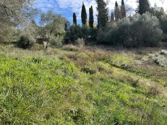 Land Of 7754 M² In Corfu