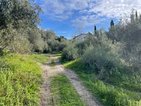 Land Of 7754 M² In Corfu