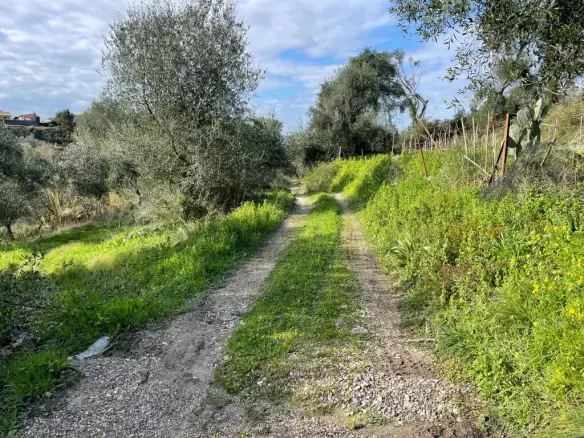 Land Of 7754 M² In Corfu