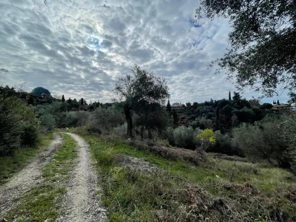 Land Of 7754 M² In Corfu