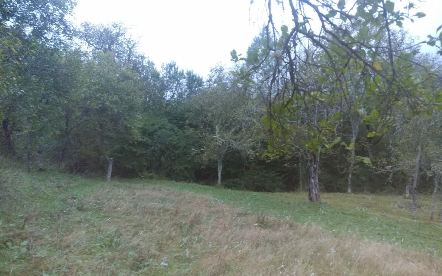 Secluded Property In The Apuseni Mountains – 3.5 Hectares Of Land + 2 Houses