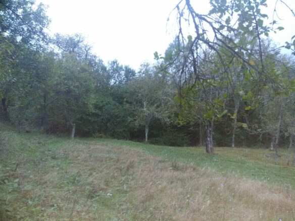 Secluded Property In The Apuseni Mountains – 3.5 Hectares Of Land + 2 Houses