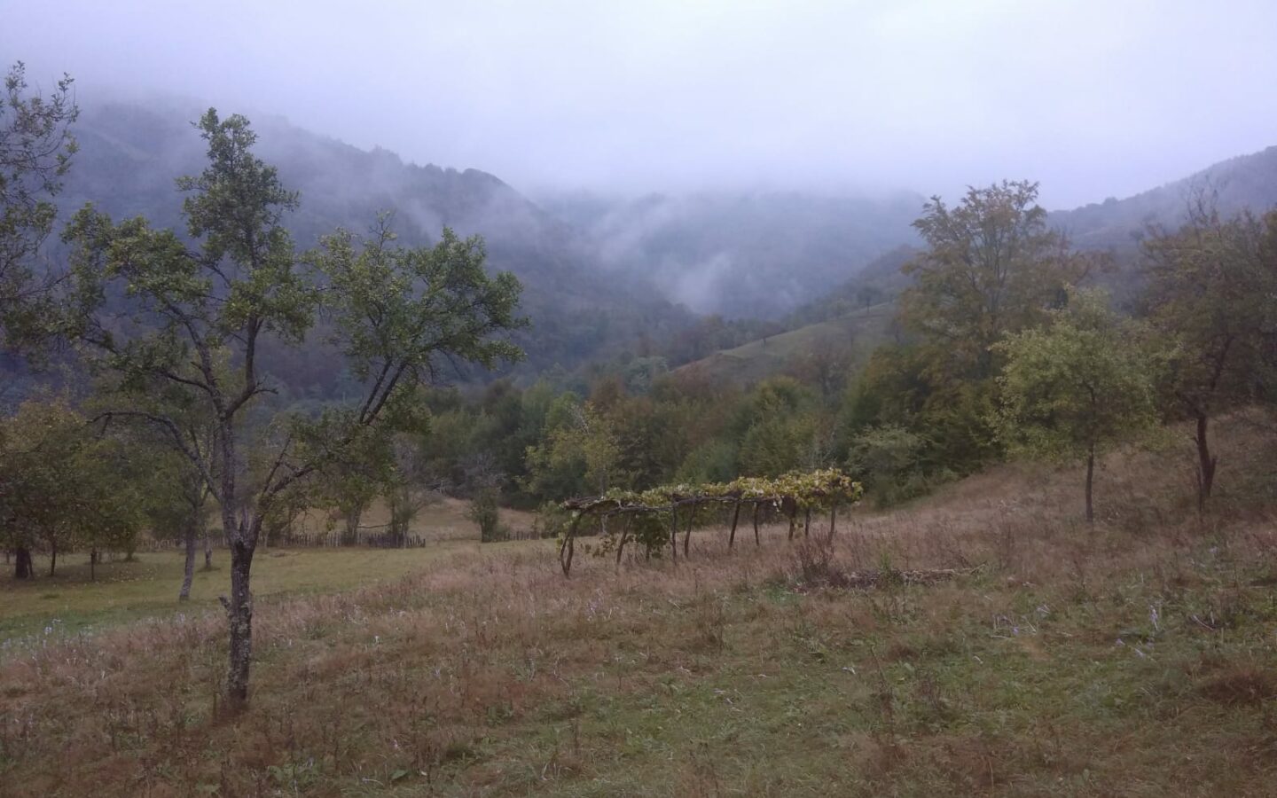 Secluded Property In The Apuseni Mountains – 3.5 Hectares Of Land + 2 Houses