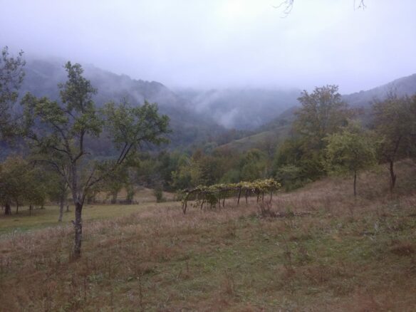 Secluded Property In The Apuseni Mountains – 3.5 Hectares Of Land + 2 Houses