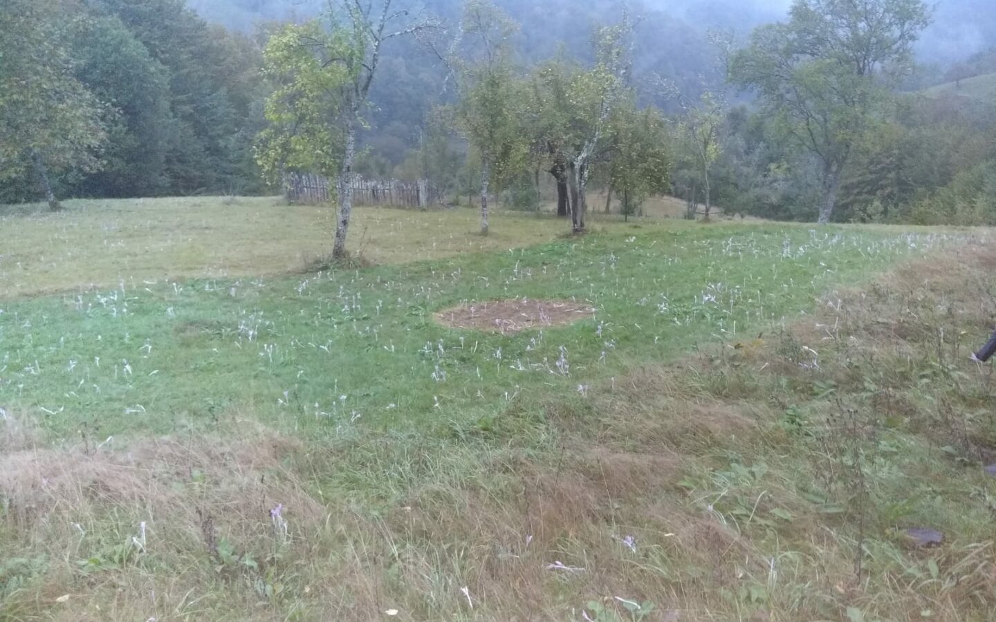 Secluded Property In The Apuseni Mountains – 3.5 Hectares Of Land + 2 Houses