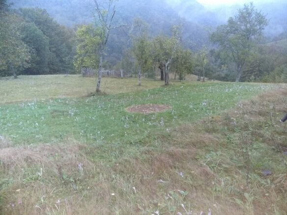 Secluded Property In The Apuseni Mountains – 3.5 Hectares Of Land + 2 Houses