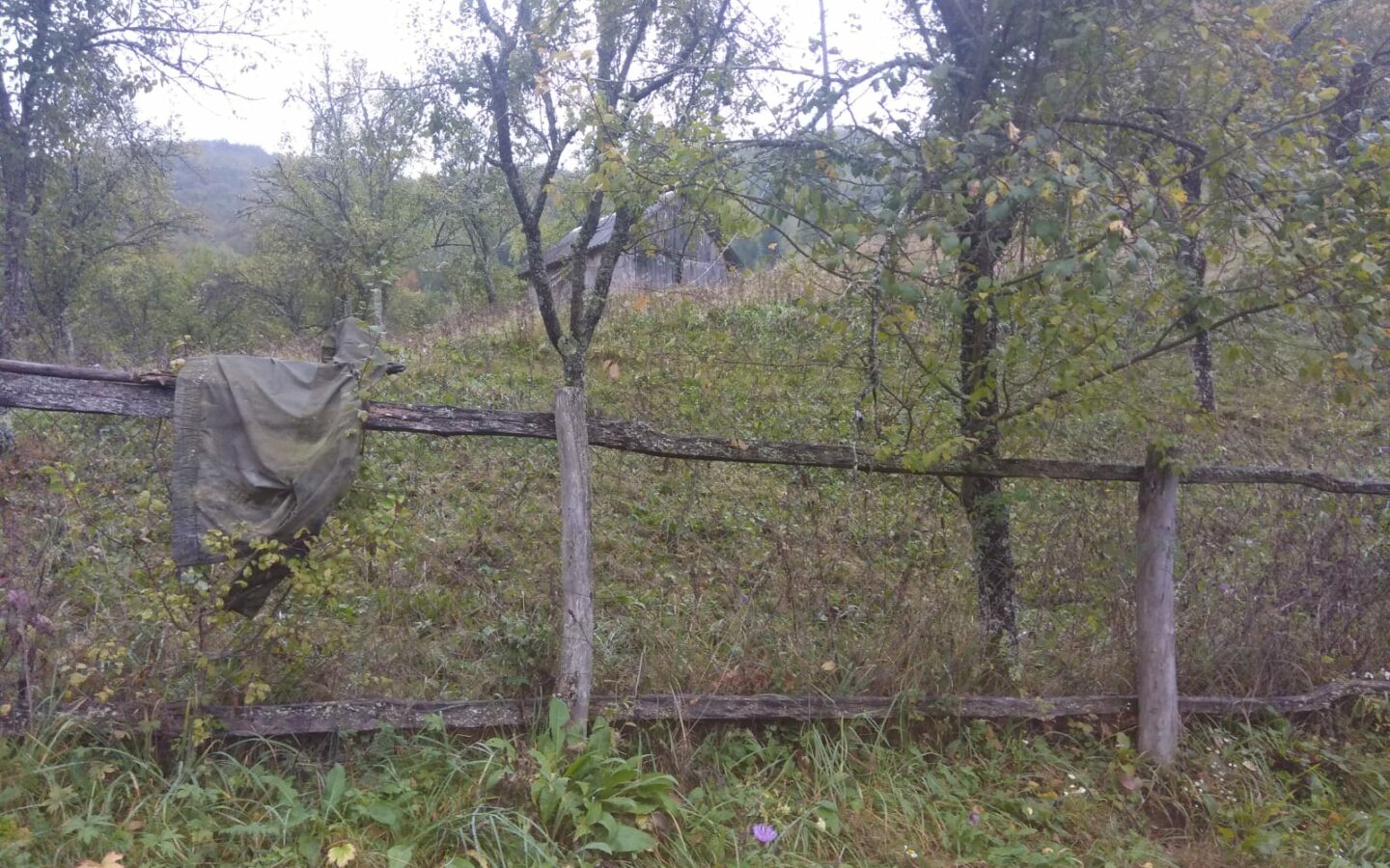 Secluded Property In The Apuseni Mountains – 3.5 Hectares Of Land + 2 Houses