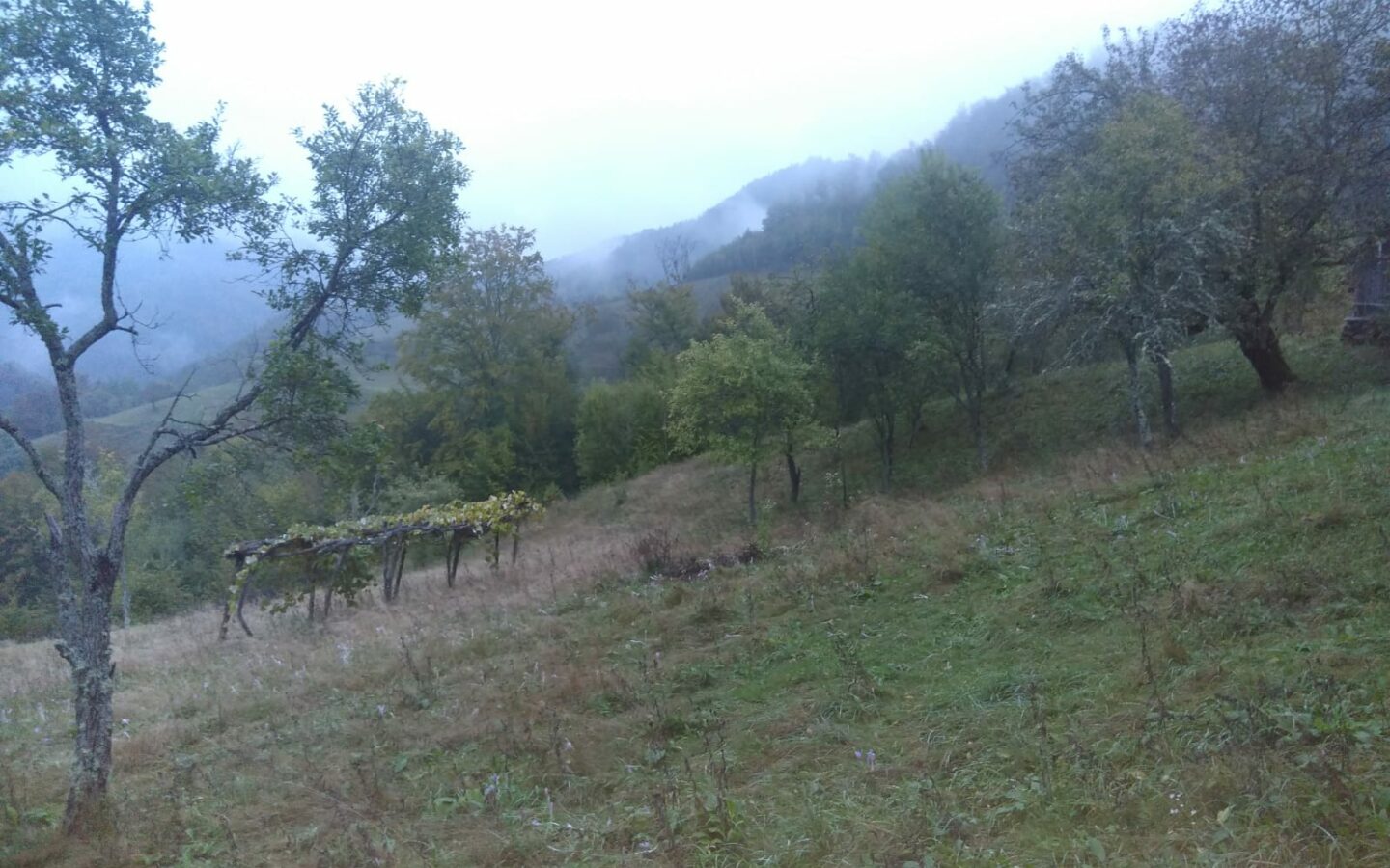Secluded Property In The Apuseni Mountains – 3.5 Hectares Of Land + 2 Houses
