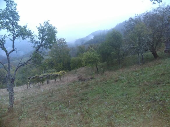 Secluded Property In The Apuseni Mountains – 3.5 Hectares Of Land + 2 Houses