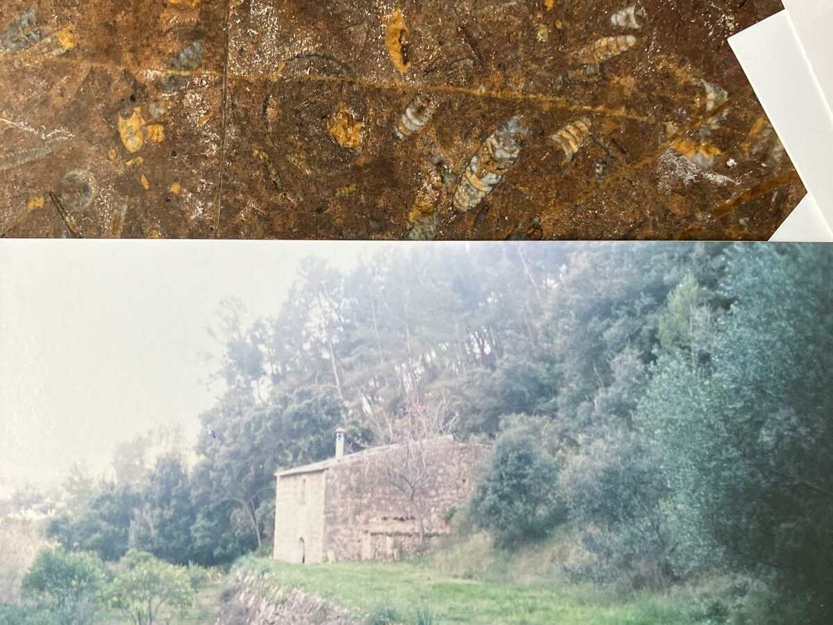 Rustic House Of 45 M² With 10,662 M² Plot In Andratx, Mallorca