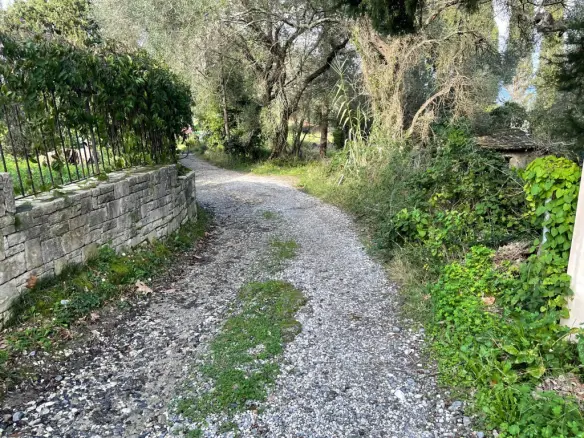 Land Of 7754 M² In Corfu
