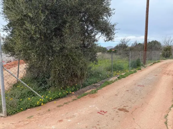 Land Of 1130 M² In Crete