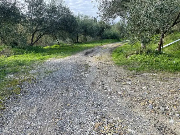 Land Of 7754 M² In Corfu