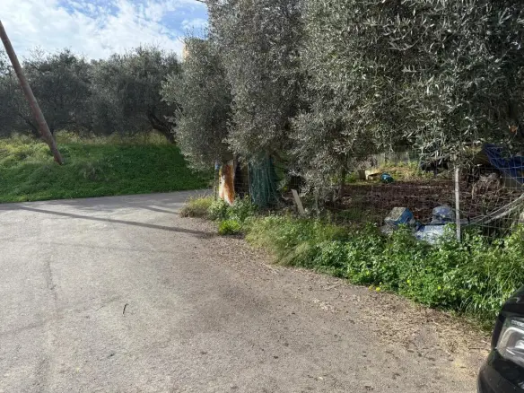 Land Of 1060 M² In Crete
