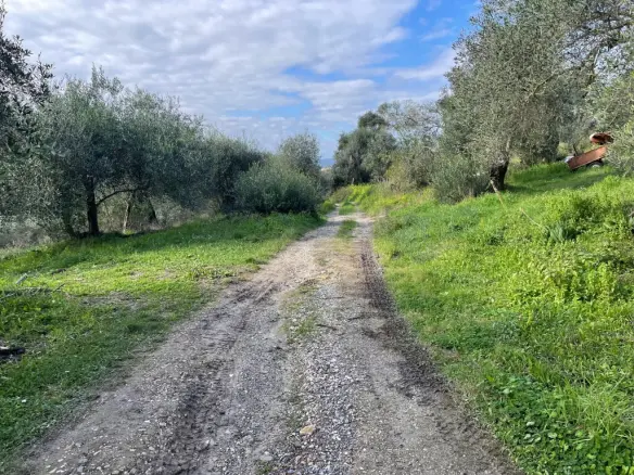 Land Of 7754 M² In Corfu