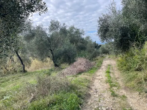 Land Of 7754 M² In Corfu