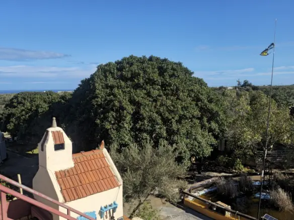Complex Of 240 M² In Crete