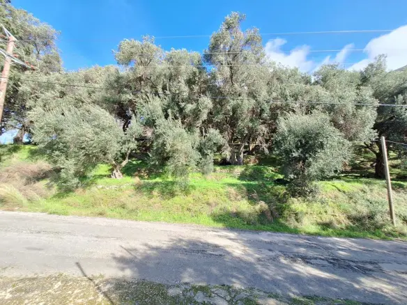 Land In Corfu, Greece