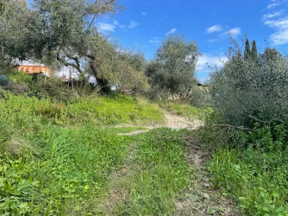 Land Of 7754 M² In Corfu